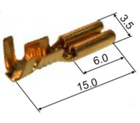 0124 951 a.jpg