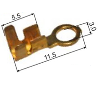 0124 952 a.jpg