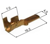 0124 955 a.jpg