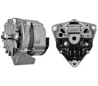 0131 mg 118 a.jpg
