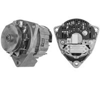 0131 mg 20 a.jpg