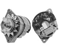 0131 mg 230 a.jpg