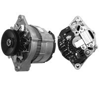 0131 mg 25 a.jpg