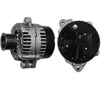 0131 mg 749 a.jpg