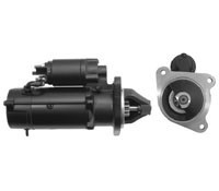 0131 ms 25 a.jpg