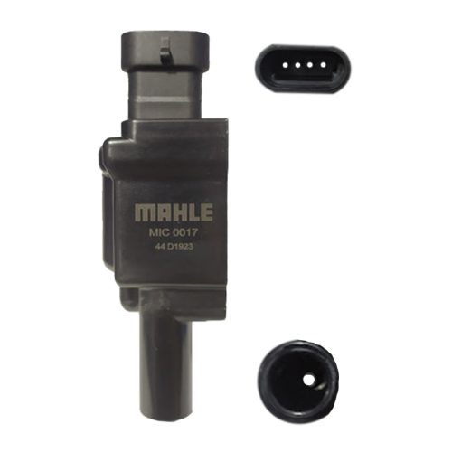 0185 mic0017 b.jpg 0185 mic0017 b.jpg
