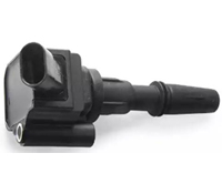 0185 mic0024 a.jpg
