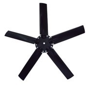 0262 ax002 a.jpg