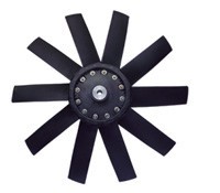 0262 ax025 a.jpg