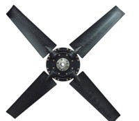 0262 ax029 a.jpg