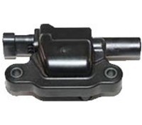 0291 g91895 a.jpg
