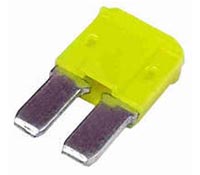 0342 fmic2 20a a.jpg