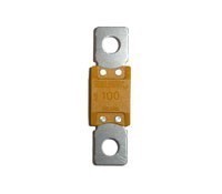 0342 mega 100 a.jpg