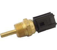 0491 ws3041 a.jpg