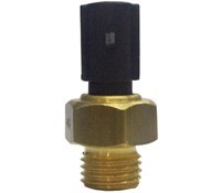 0491 ws3176 a.jpg