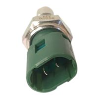0494 rs5510 a.jpg